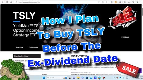 tsla next dividend date
